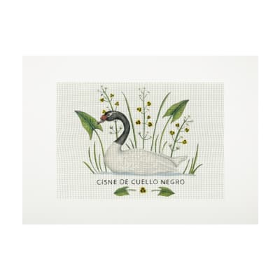 Lienzo para bordar cisne cuello negro1