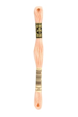 Hilo para bordar DMC Mouliné 20