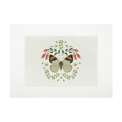 Lienzo para Bordar Mariposa Eroesa Fondo Blanco1