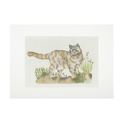 Lienzo para bordar Gato Montes1