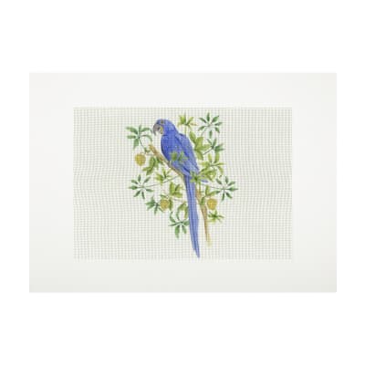 Lienzo para bordar Guacamayo Azul1