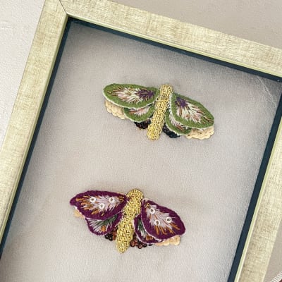 Kit insectario mariposas + clase online1