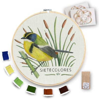 Kit para bordar Sietecolores XL