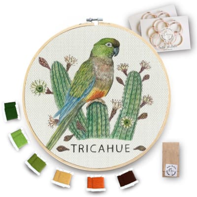 Kit para bordar Loro Tricahue XL