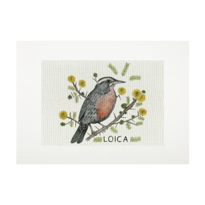 Lienzo para bordar Loica1