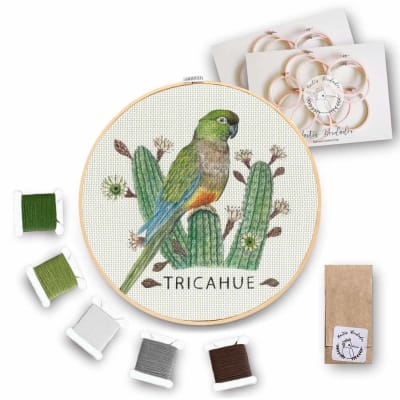 Mini Kit para bordar Loro Tricahue1