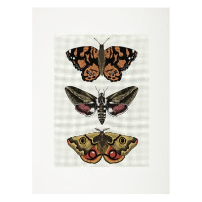 Lienzo para bordar Mariposas1