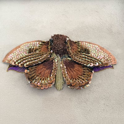 Kit Mariposa Monarca1