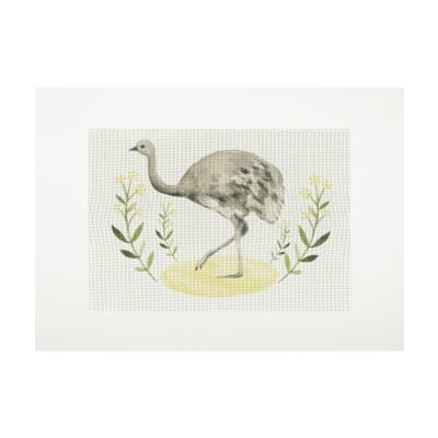 Lienzo para bordar Ñandú