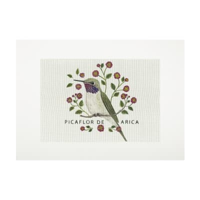 Lienzo para bordar Picaflor de Arica1