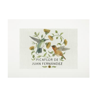 Lienzo para bordar Picaflor Juan Fernández1