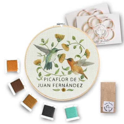 Mini Kit para bordar Picaflor de Juan Fernandez1