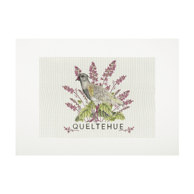 Lienzo para bordar Queltehue