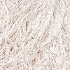 Canutillo Checo Blanco Iris