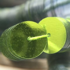 Lentejuela 8mm metálica Verde limon