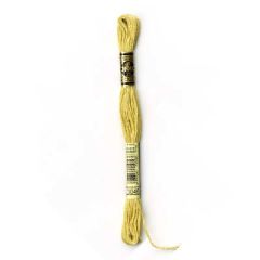 Hilo para bordar DMC Mouliné 3046