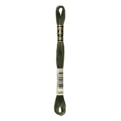 Hilo para bordar DMC Mouliné 3051