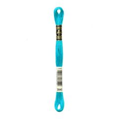 DMC Mouline 3845