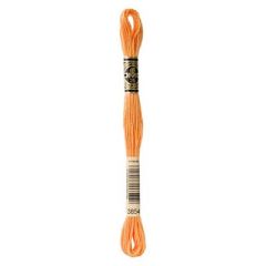 DMC Mouline 3854