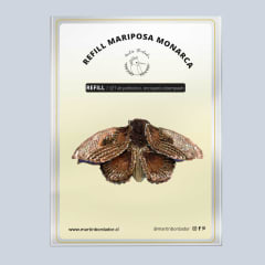 Refill Mariposa monarca