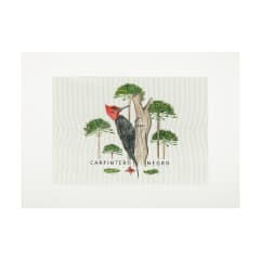 Lienzo para Bordar Carpintero Negro
