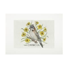 Lienzo para bordar Chincol