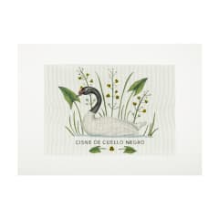 Lienzo para bordar cisne cuello negro