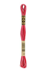 Hilo para bordar DMC Mouliné 107