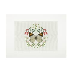 Lienzo para Bordar Mariposa Eroesa Fondo Blanco