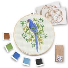 Mini Kit para bordar Guacamayo Azul
