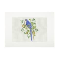 Lienzo para bordar Guacamayo Azul