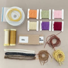 Kit insectario mariposas + clase online