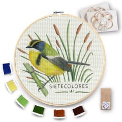 Kit para bordar Sietecolores XL