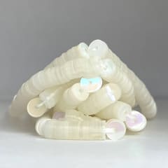 Lentejuela 4mm Blanco transparente