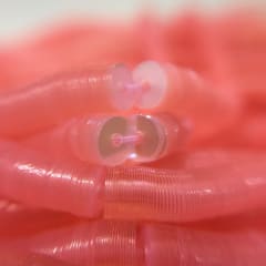 Lentejuela 4mm  rosado claro transparente