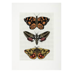 Lienzo para bordar Mariposas