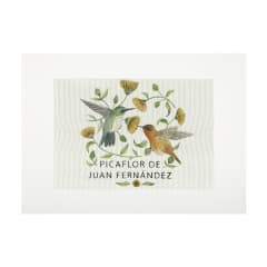 Lienzo para bordar Picaflor Juan Fernández