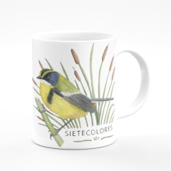 Tazon Sietecolores