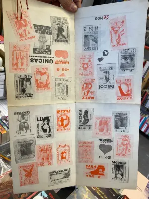 Fanzine Unicas 