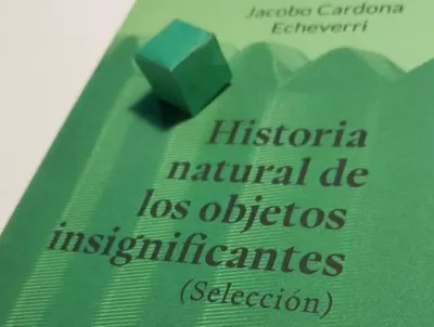 Historia natural de los objetos insignificantes