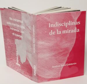 Indisciplinas de la mirada