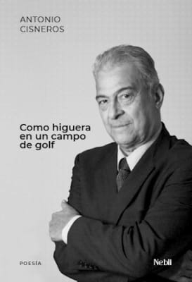 Como higuera en un campo de golf