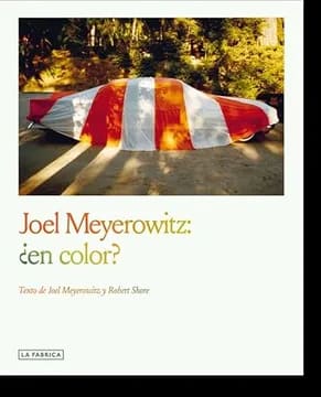 Joel Meyerowitz: En Color?