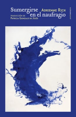 Sumergirse en el naufragio 