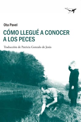 Cómo llegué a conocer a los peces