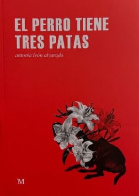 El perro tiene tres patas
