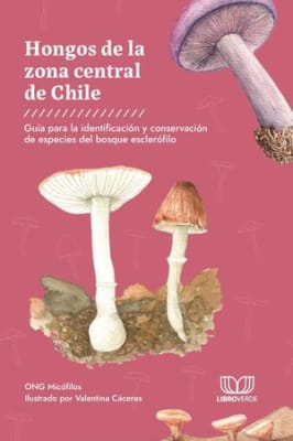 Hongos de la zona central de Chile
