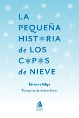 La pequeña historia de los copos de nieve