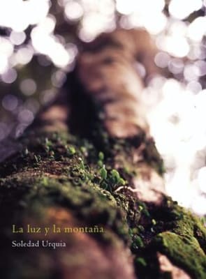 La luz y la montaña