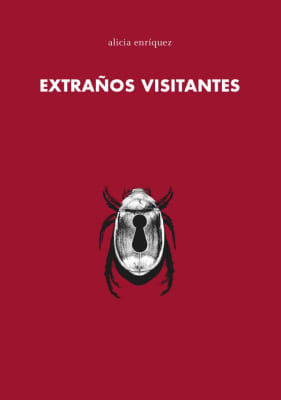 Extraños visitantes
